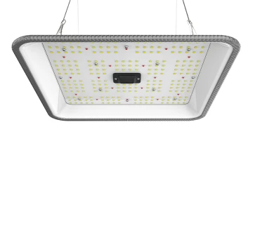 ORTOLED-90-FC-60W - ORTOLED - FULL CYCLE 2,7 umol/J | 60W SAMSUNG